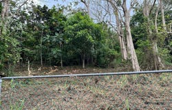 SR INT. MOGOTE, Toita, Cayey, 00736