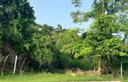 300 CARR, Cabo Rojo, Cabo Rojo, 00623
