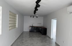 933 CERRA ANDINO, Santurce, San Juan, 00907