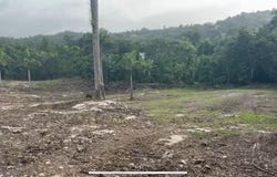 486 8 PR STATE ROAD 129, Quebrada, Camuy, 00627