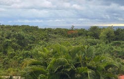 31 PLAYA INDIA, Aguadilla, Aguadilla, 00603