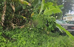 3353 1.93 CDAS CARR. 35. KM. 0.7. BO QUEMADO, MAYAGÜEZ, Quemado, Mayaguez, 00680