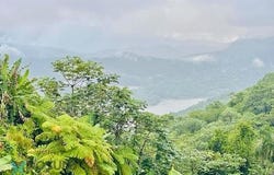 611 BO. SABANA GRANDE, SECTOR LA SABANA, Sabana Grande, Utuado, 00641