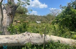 0 CARR #2 KM 172.4, Caín Bajo, San German, 00683