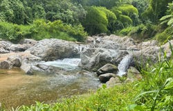 111 VIVÍ ABAJO, Viví Abajo, Utuado, 00641