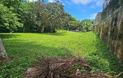 412 SECTOR KOREA, Rincon, Rincon, 00677