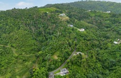 Carr 765 KM 3.5, Boriquen, Caguas, 00725