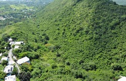 Carr 368 KM 7.6, Susúa, Sabana Grande, 00637