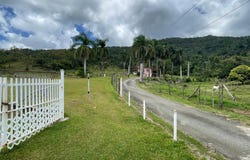 Interior CARR. #969, Maizales, Naguabo, 00718