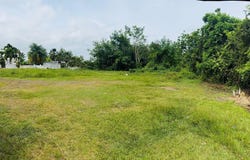 CARR 312 BO. MONTE GRANDE, Monte Grande, Cabo Rojo, 00623