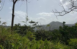 0 BO. RIO PRIETO, Río Prieto, Lares, 00669