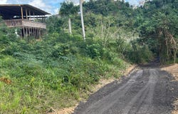 000 FINCA BO. CAIMITO SECTOR PEDRO VIERA PARC 11 CARR 842 KM,HM 1.9 SAN JUAN, PR, San Juan, NiA