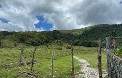 Interior CARR. #969, Maizales, Naguabo, 00718