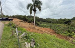 0 SOLAR 852M, BO. PLANAS, ISABELA, Plana, Isabela, 00662
