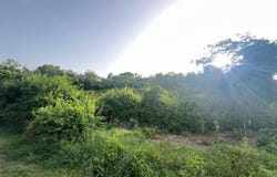 Km 11.01 CARR 100, Pedernales, Cabo Rojo, 00623