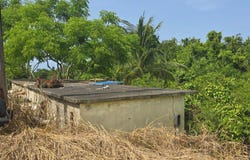 0 ARENALEJOS Y SANTANA, Arecibo, Arecibo, 00612