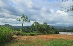 KW 2.1 CARR 4430, Ovejas, Añasco, 00610