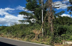 405 BO CARRERAS, Carreras, Añasco, 00610