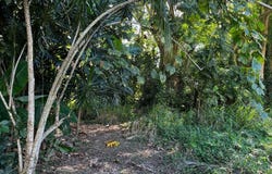 405 BO CARRERAS, Carreras, Añasco, 00610