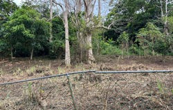 SR INT. MOGOTE, Toita, Cayey, 00736