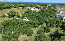 114 BO. RÍO GRANDE, Rincon, Rincon, 00677