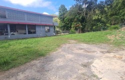 1 BO. ALGARROBO, Algarrobo, Vega Baja, 00693
