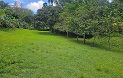 412 SECTOR KOREA, Rincon, Rincon, 00677