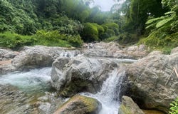 111 VIVÍ ABAJO, Viví Abajo, Utuado, 00641