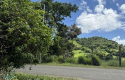 Ramal 945 KM 2.2, Gurabo, Gurabo, 00778