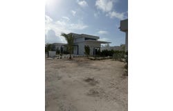 389 COVE ESTATES   CURIOSITY, 