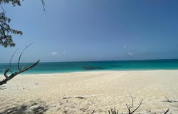 SALT CAY LOT, 