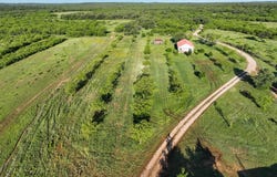 3351 Us-183, Cisco, TX 76437