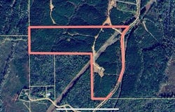 1631 Reich Road, Golden, MS 38847