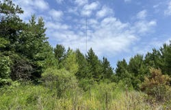 10-19-11 Dollar Junction Rd, Huttig, AR 71747