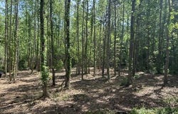 Parcel 4 Stovall Ln, Summit, MS 39666