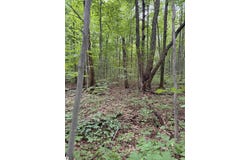 Parcel A Mancelona Road, Mancelona, MI 49659