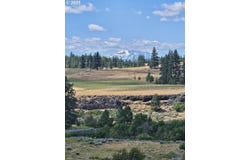 Olson RD, Centerville, WA 98613