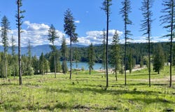 Nna Annes Lane (Lot 19) Rd, Sagle, ID 83860
