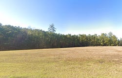 Sipsey Overlook Road, Double Springs, AL 35553