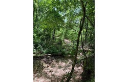 Lot 21 Stoneykirk  DR, Bella Vista, AR 72715