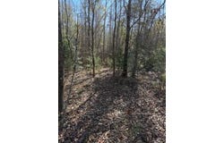 0 Bowden Rd, Honoraville, AL 36042