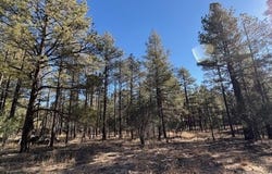 3270 W Black Oak Loop, Show Low, AZ 85901