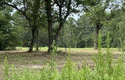 TBD CR 314, Henderson, TX 75652