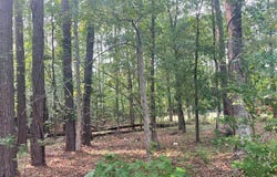 Gin Pond Drive, Summerton, SC 29048