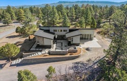 176 Bear Cub Drive, Ridgway, CO 81432