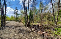 Lot#2 Cone Road, Amity, ME 04471