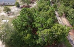 763 Thor Road, Pelion, SC 29123