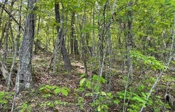 3717 Hwy 830, Gray, KY 40734