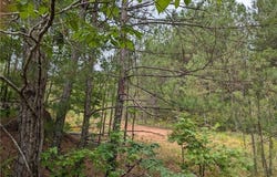 7900 Downs Road, Winston, GA 30187