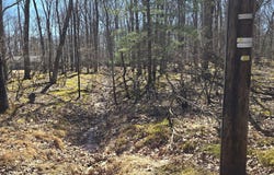118 & 120 Birchwood Lane, Hawley, PA 18428